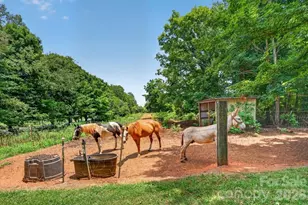 941 Casar-Belwood Rd, Lawndale, NC 28090 - Photo 43