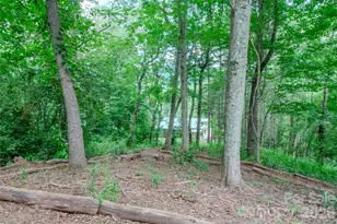 49 Jake Dr, Canton, NC 28716 - Photo 35