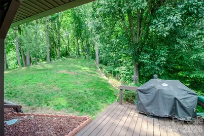 49 Jake Drive, Canton, NC 28716 - Photo 33