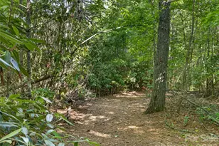435 Allen Mountain Ln, Spruce Pine, NC 28777 - Photo 39