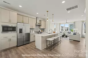 2123 Bonner Bridge Ct, Charlotte, NC 28273 - Photo 9