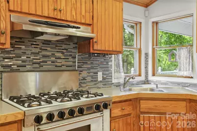 645 W Fork Creek Road, Saluda, NC 28773 - Photo 17
