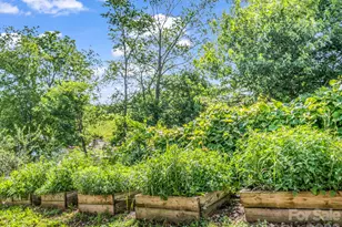 18 Old Chapman Pl, Leicester, NC 28748 - Photo 41