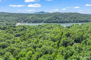 141 Hemlock Ln, Lake Lure, NC 28746 - Photo 27
