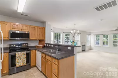 10553 Trolley Run Drive, Cornelius, NC 28031 - Photo 11