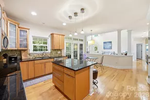 309 Walking Horse Trail, Davidson, NC 28036 - Photo 13