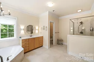 309 Walking Horse Trail, Davidson, NC 28036 - Photo 25