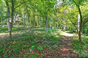 309 Walking Horse Trail, Davidson, NC 28036 - Photo 41