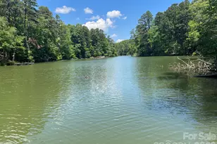 617 S Cove Rd, Mill Spring, NC 28756 - Photo 43