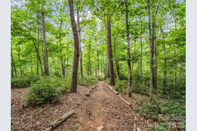 617 South Cove Road, Mill Spring, NC 28756 - Photo 41