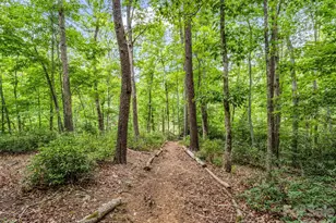 617 S Cove Rd, Mill Spring, NC 28756 - Photo 41