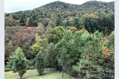 836 Burney Mountain Road, Fletcher, NC 28732 - Photo 23