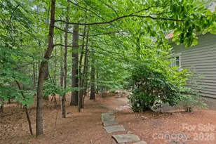 626 Wickhams Fancy Dr, Candler, NC 28715 - Photo 47