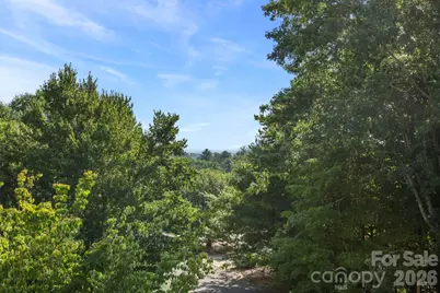 19 Thornapple Drive, Hendersonville, NC 28739 - Photo 29