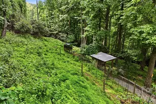 176 Ravens View, Boone, NC 28607 - Photo 33