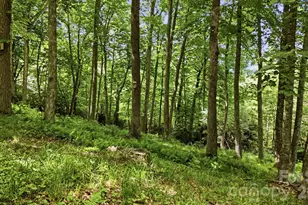 176 Ravens View, Boone, NC 28607 - Photo 35