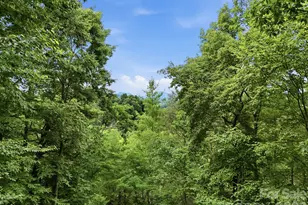 176 Ravens View, Boone, NC 28607 - Photo 27