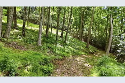 176 Ravens View, Boone, NC 28607 - Photo 37
