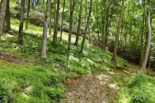 176 Ravens View, Boone, NC 28607 - Photo 37