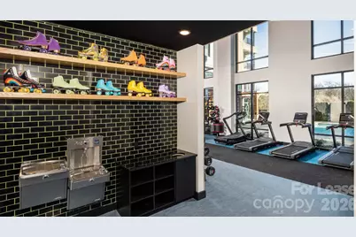 1015 N Alexander Street #A6, Charlotte, NC 28206 - Photo 15