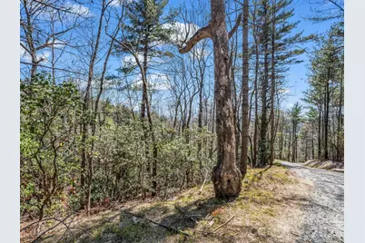 999 Bulling Creek Drive, Hendersonville, NC 28739 - Photo 3