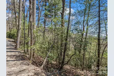 999 Bulling Creek Drive, Hendersonville, NC 28739 - Photo 5