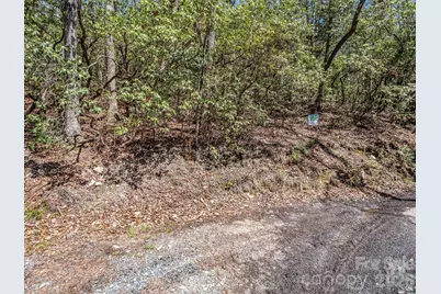999 Bulling Creek Drive, Hendersonville, NC 28739 - Photo 11