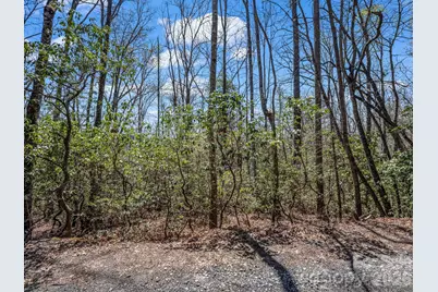 999 Bulling Creek Drive, Hendersonville, NC 28739 - Photo 9
