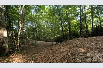 00 Chestnut Walk #3,4,5, Waynesville, NC 28786 - Photo 5