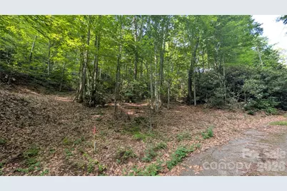 00 Chestnut Walk #3,4,5, Waynesville, NC 28786 - Photo 3