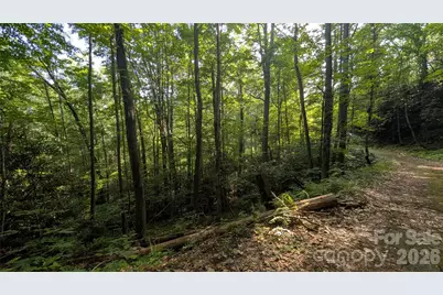 00 Chestnut Walk #3,4,5, Waynesville, NC 28786 - Photo 19