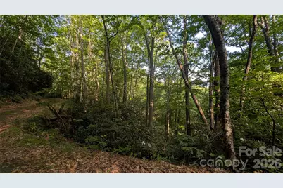 00 Chestnut Walk #6,7,8, Waynesville, NC 28786 - Photo 3