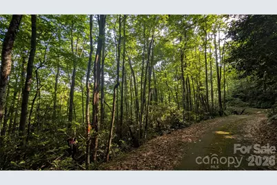 00 Chestnut Walk #6,7,8, Waynesville, NC 28786 - Photo 7