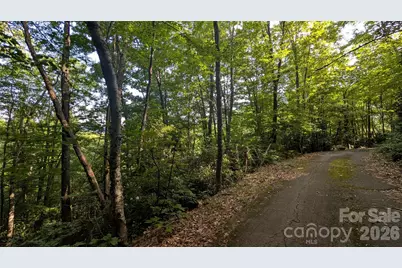 00 Chestnut Walk #6,7,8, Waynesville, NC 28786 - Photo 7