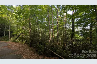 00 Chestnut Walk #6,7,8, Waynesville, NC 28786 - Photo 19