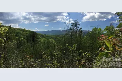 225 Lucerne Drive, Canton, NC 28716 - Photo 11