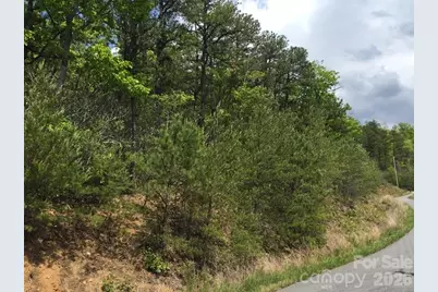 225 Lucerne Drive, Canton, NC 28716 - Photo 27
