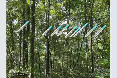 225 Lucerne Drive, Canton, NC 28716 - Photo 7