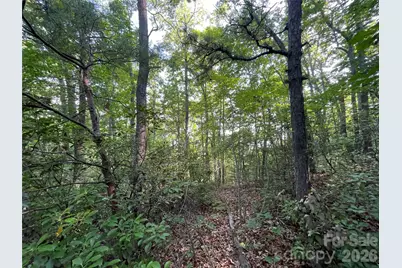 225 Lucerne Drive, Canton, NC 28716 - Photo 17