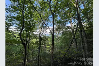 225 Lucerne Drive, Canton, NC 28716 - Photo 19