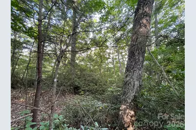 225 Lucerne Drive, Canton, NC 28716 - Photo 15