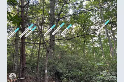 225 Lucerne Drive, Canton, NC 28716 - Photo 5