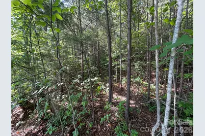 225 Lucerne Drive, Canton, NC 28716 - Photo 31