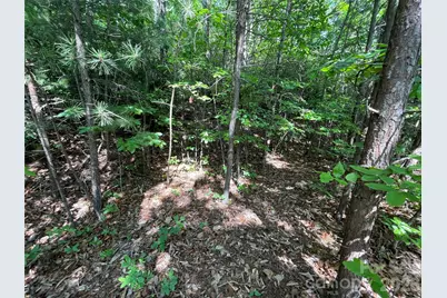 225 Lucerne Drive, Canton, NC 28716 - Photo 13