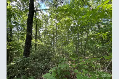 225 Lucerne Drive, Canton, NC 28716 - Photo 29