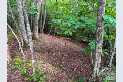 724 Streamside Drive, Arden, NC 28704 - Photo 9