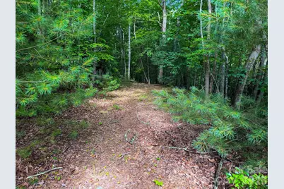 724 Streamside Drive, Arden, NC 28704 - Photo 5