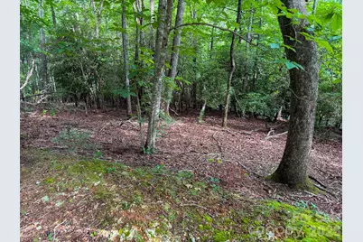 724 Streamside Drive, Arden, NC 28704 - Photo 7