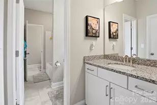 2705 Suffolk Pl, Fort Mill, SC 29715 - Photo 35