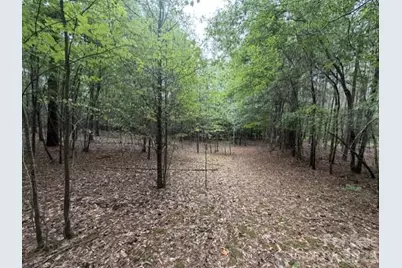 1100 Blacksburg Road, Grover, NC 28073 - Photo 15